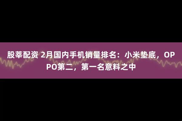 股莘配资 2月国内手机销量排名：小米垫底，OPPO第二，第一名意料之中